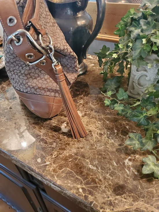 Coach Tan Leather Mini Logo Bag with Silver-tone Hardware - Picture 2 of 11